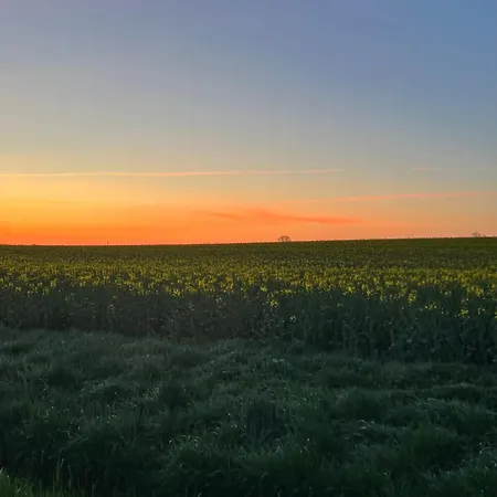 „holzwurm-paradies“ *