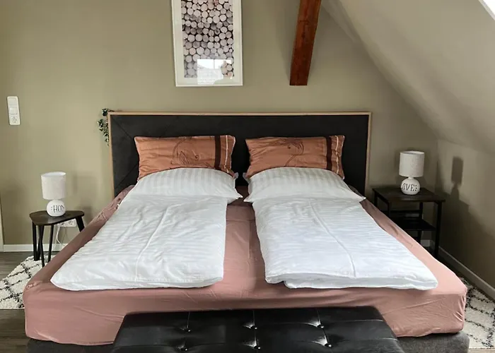 „holzwurm-paradies“ Ivenack