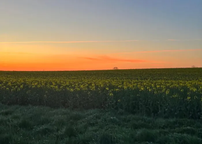 „holzwurm-paradies“ *